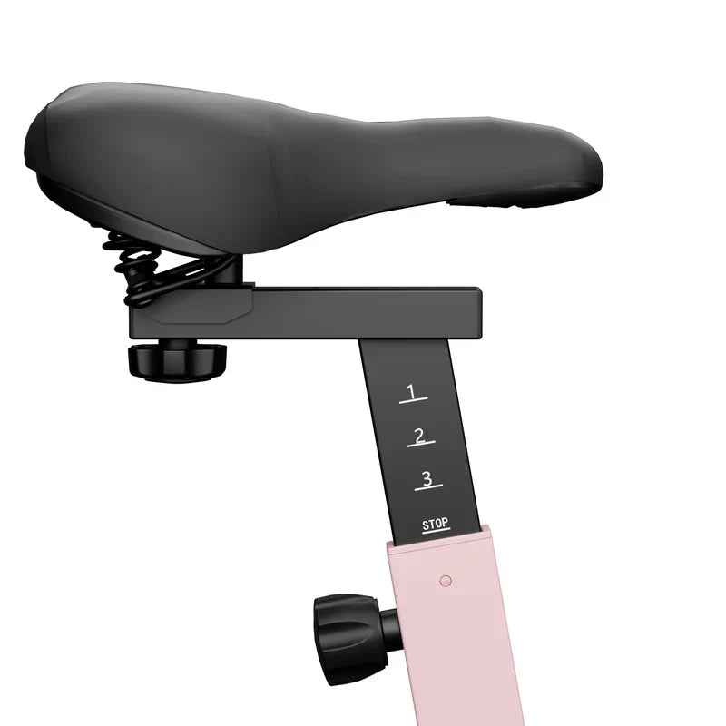 DeerRun S500 Rose Indoor Smart Bike con resistenza magnetica regolabile, cintura silenziosa e App PitPat