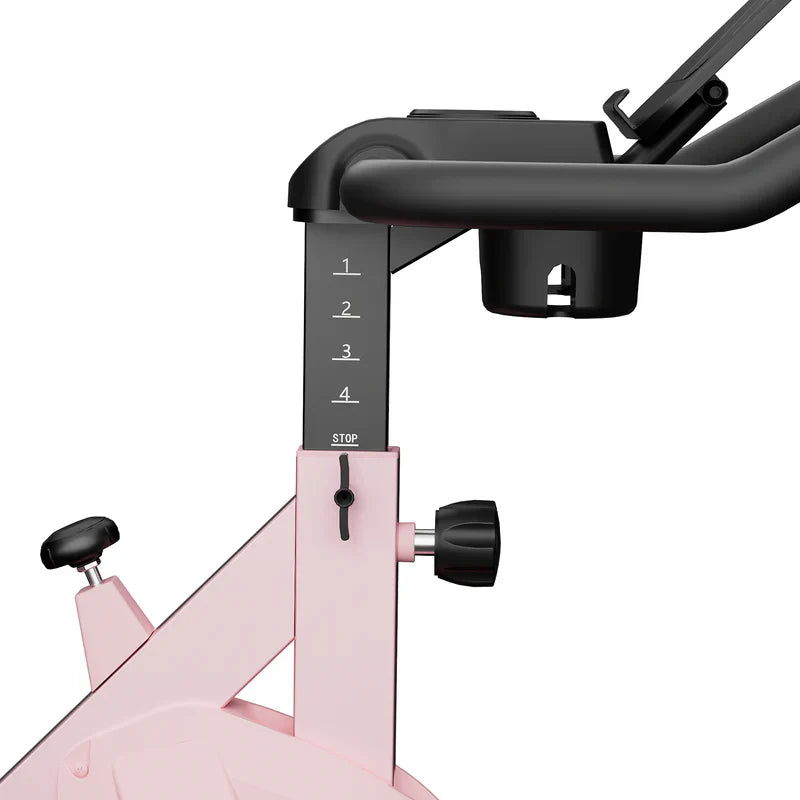 DeerRun S500 Rose Indoor Smart Bike con resistenza magnetica regolabile, cintura silenziosa e App PitPat